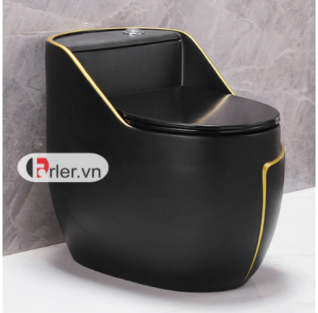 Bồn Cầu Trứng Đen Sọc Vàng Tròn Vuông FORLER (BCT25)