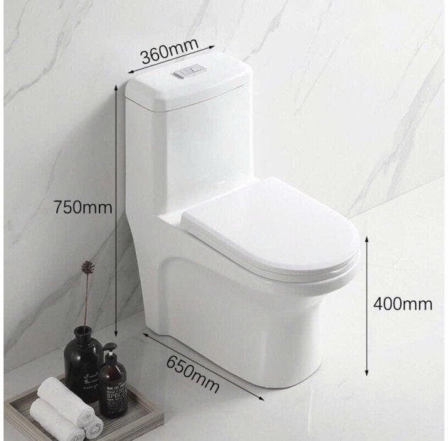 Bồn Cầu 1 khối phủ Men Tuyết Vuông LUSENTER (BCMK43)
