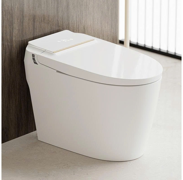 Bồn Cầu Thông Minh LUSENTER (BCTM01)